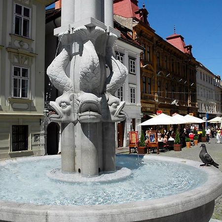 Apartament New ! Fairytale In Old Town Center , Lovely Atrium Lublana Zewnętrze zdjęcie